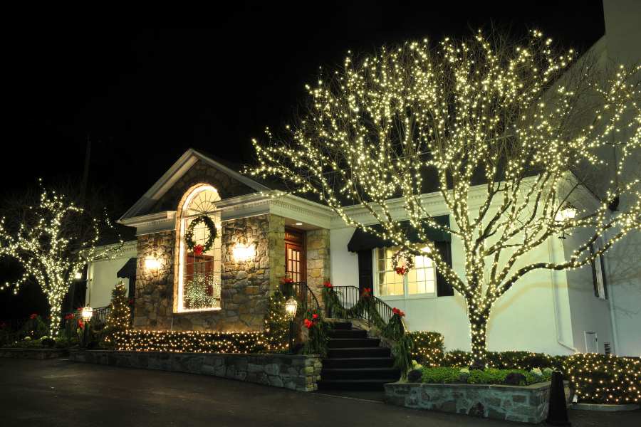 Holiday Lights Tours